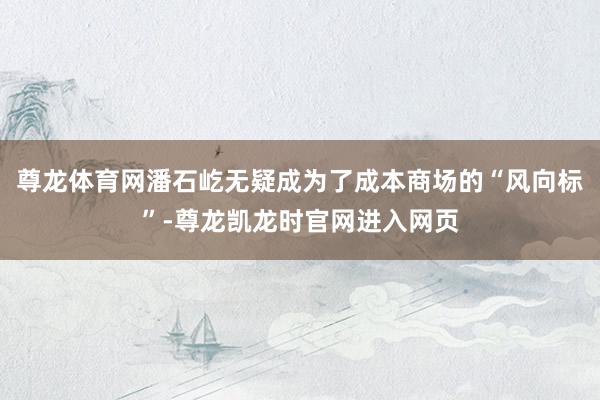 尊龙体育网潘石屹无疑成为了成本商场的“风向标”-尊龙凯龙时官网进入网页