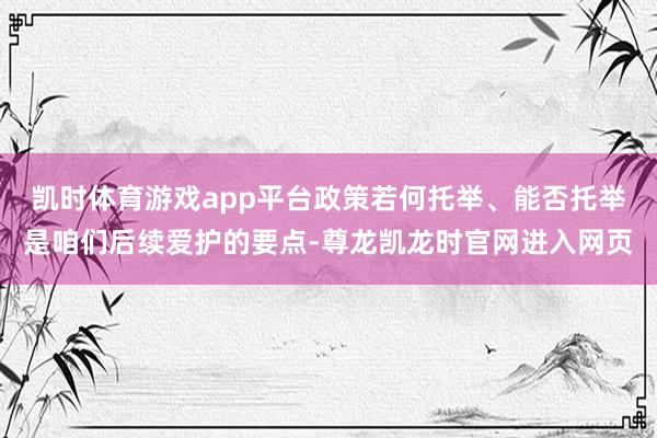 凯时体育游戏app平台政策若何托举、能否托举是咱们后续爱护的要点-尊龙凯龙时官网进入网页
