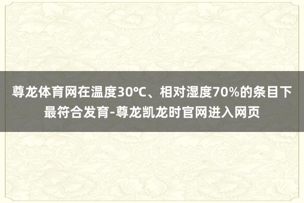 尊龙体育网在温度30℃、相对湿度70%的条目下最符合发育-尊龙凯龙时官网进入网页