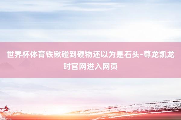世界杯体育铁锹碰到硬物还以为是石头-尊龙凯龙时官网进入网页