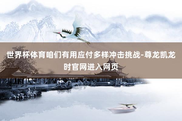 世界杯体育咱们有用应付多样冲击挑战-尊龙凯龙时官网进入网页