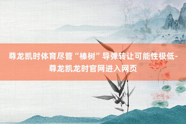 尊龙凯时体育尽管“榛树”导弹转让可能性极低-尊龙凯龙时官网进入网页